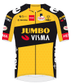 10. Jumbo-visma- development