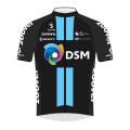 8. DSM development